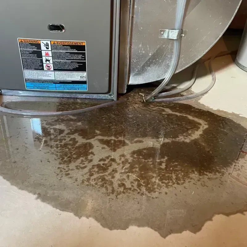 Appliance Leak Cleanup in Dexter, MO